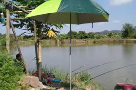 嫁个爱好钓鱼的男人好处多图片