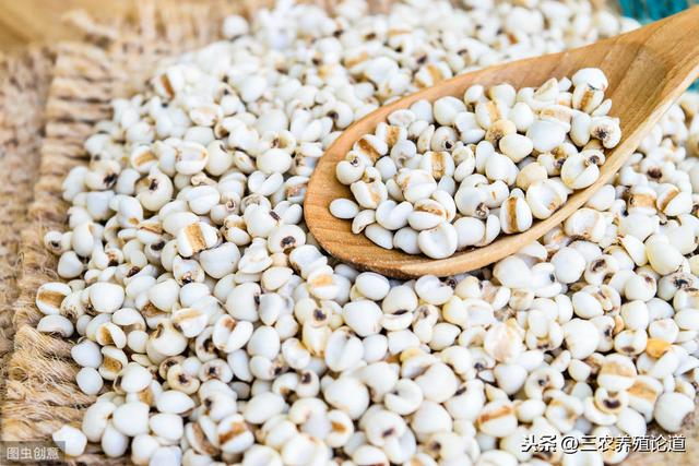 40种常见饲料原料基础知识