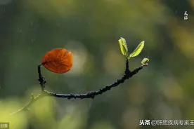 器官移植——生命的呼叫与转移！图片