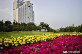 肥城市304个小区二手房，挂牌均价7359元/m²图片