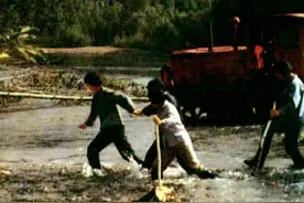 老照片中的记忆：1973年黑龙江大兴安岭密林中的知青生活图片
