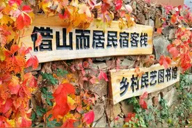大山里的家——借山而居民宿客栈图片