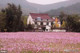 从30w年薪的外企跳槽到去当公务员，是一种什么样的体验？图片