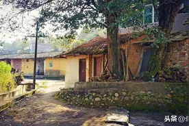 故事：乞丐被好心大姐收留，20年后成大老板，开100万支票报答恩人图片