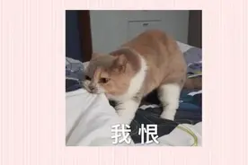 “剖腹产时你会要求把多余的脂肪割掉吗？”这届孕妇真的太拼了图片