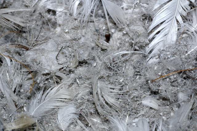 谈谈含氨基酸水溶肥桶装肥的现状及氨基酸原粉的提取工艺