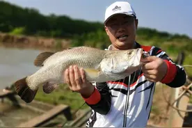 复盘一下汉鼎2019年哪一款新品最火爆，它怎么火的，为什么那么爆图片