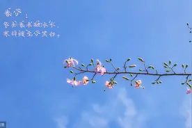 “郭德纲”挤兑死人不带脏字图片