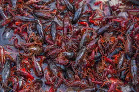 想要健康，吃对很重要，这些“脏”物最好少吃图片