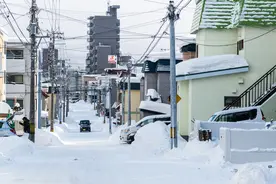 北海道的雪图片