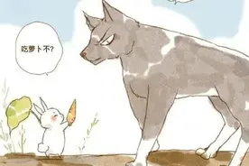 发情期的小兔子遇上狼图片