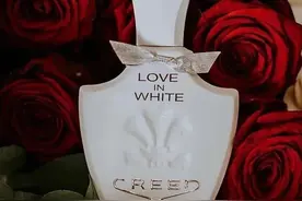 Creed白色之恋 | 甜味可以如此软糯图片