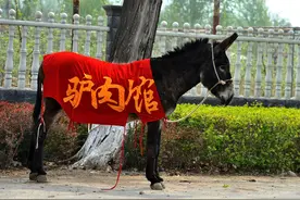 天上龙肉，地上驴肉，香味浓郁，酱香味丰富，最好吃的驴肉来袭图片