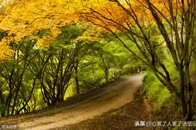 人生感悟：拼你想要的，争你没有的图片