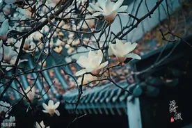 这9首诗词，年少时读不懂，中年再读却泪流满面图片