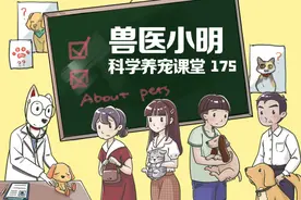 猫咪知道自己尾巴的存在吗？喵：感觉有被侮辱到，质疑我智商？图片