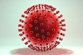 疯牛病何以流行科学家敢于生死相许——发现朊病毒蛋白图片