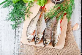 美食节｜名人与番禺美食图片