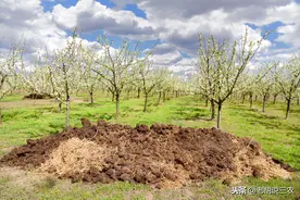 农村俗语：“不怕门前有粪堆，就怕屋后黄土‘追’”，是啥意思？图片