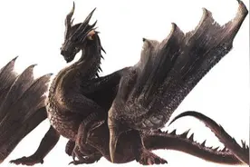 「怪物猎人」煌黑龙讨伐攻略图片