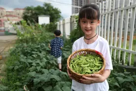 幼儿园萌娃在校园摆摊，直播义卖自己种的菜！简直萌翻了图片