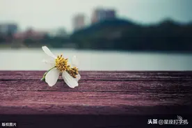 对恋人不离不弃的星座，一旦喜欢上对方，怎么也不愿意放手图片