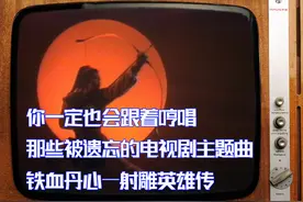 你一定也会跟着哼唱，那些被遗忘的电视剧主题曲—铁血丹心图片