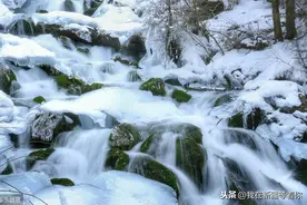 《跟着古诗游新疆》第三集《白雪歌送武判官归京》图片
