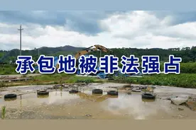 自家承包地被非法强占怎么办？3个方法助您夺回土地权益图片