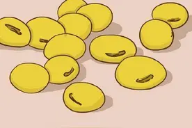 【金龟子讲睡前故事】板凳狗吃豆豆图片