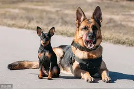 故事：农民工两次找所长告状无果，妻子因惊吓住了医院，一年后结局逆转图片