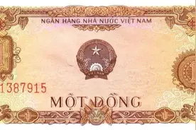 越南的纸币之四：越南统一后的纸币图片
