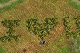 5.20表白日：表白的方式千万种，受用的方式只有这几种，包教包会图片