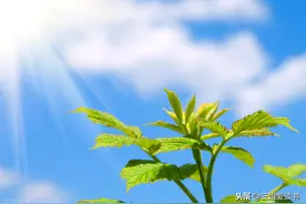 《一堂好课》：聆听名家故事，感悟非凡人生，照亮人生之路图片