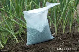 三种菌肥一起使用，能使作物达到高产丰产的效果图片