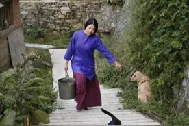 终南山隐居姑娘，还没有修道成仙，却先败在了山上的房租上图片