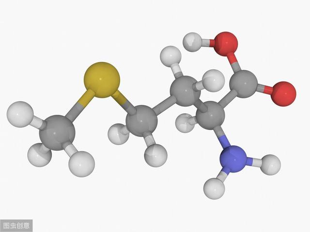 权威论文：限制这类氨基酸摄入，减少肿瘤生长