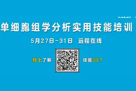 搞定转录组入门分析？必备技能看这里图片