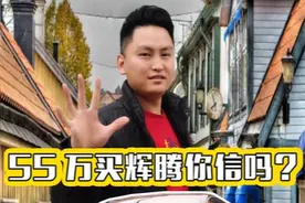 2011年的二手辉腾55万？图片