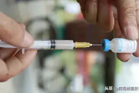 严家新：对新冠病毒候选疫苗首个效力试验结果的解读(转载)图片
