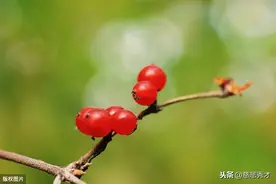 老人说：碰到那种生性凉薄的人，别让其离开，不然等于错过“宝”图片