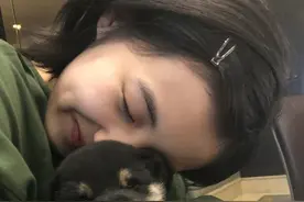 北京电影学院艺考成绩公布，张子枫全国第3名，恭喜妹妹图片