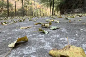探秘北京某废弃防空洞，徒步首选！图片