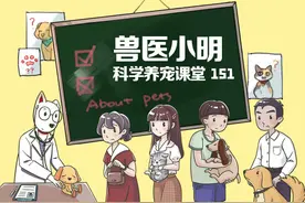 狗狗生产完就万事大吉了？别马虎，产后抑郁也可能会找上门来图片