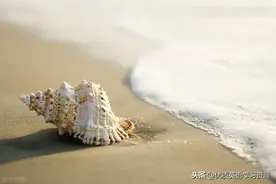 英语原版阅读：We went to the beach图片