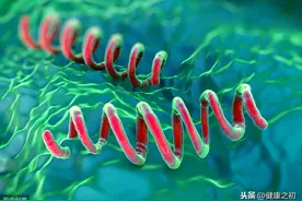 梅毒完全可以治疗，但是有一个前提，抓不住可导致死亡图片