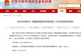 农业农村部征求意见，狗肉可能将禁食！图片