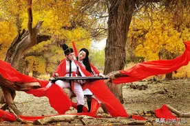 山东秋季最美自驾游线路：一次看尽西北，额济纳胡杨林7日图片