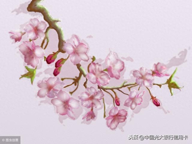 光大银行信用卡地带，光大中青旅联名卡好吗 配图02