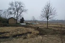 嫁没嫁对人，去婆家过个年就知道了图片